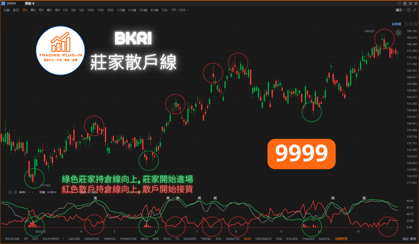 富途牛牛外掛指標 - 莊家散戶線 BKRI