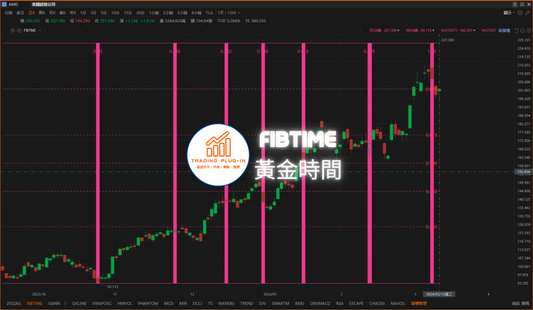 富途牛牛外掛指標 - FIBTIME - 黃金時間